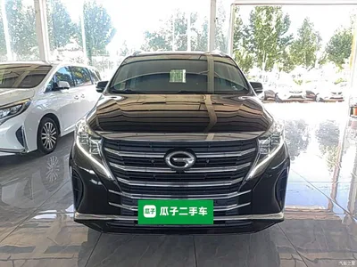 2023 GAC Trumpchi Trumpchi M8 Leading Series 390T Premium Edition, фото 3, лот 10421798