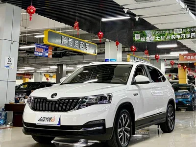 2022 Škoda Kamiq 1.5L Automatic Comfort Edition, фото 1, лот 10349217