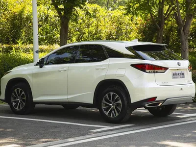 2020 Lexus RX 300 2WD Elite Edition China VI, фото 4, лот 10444640