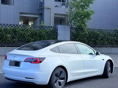2019 Tesla Model 3 (Import) Long Range RWD Version, фото 4, лот 10451954