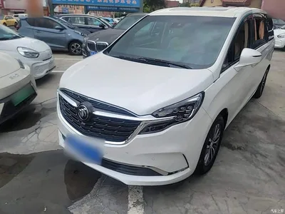2021 Buick GL8 ES Landlord 653T Premium, фото 1, лот 11189531