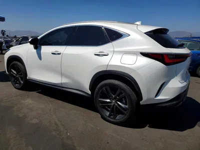 2024 LEXUS NX 450H+ BASE, фото 2, лот 10901002