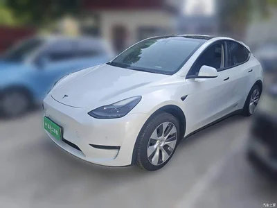 2021 Tesla Model Y Standard Range Rear-Wheel Drive, фото 2, лот 10370898