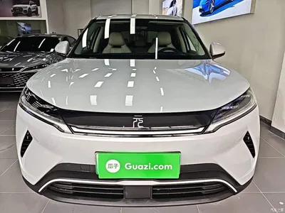 2025 BYD Yuan UP Model 301KM Navigator, фото 3, лот 10259723