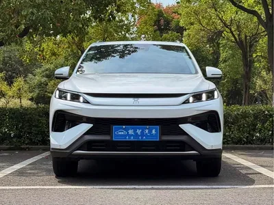 2025 BYD Song Pro New Energy 2nd Gen DM-i 75KM Surpass, фото 2, лот 10815982