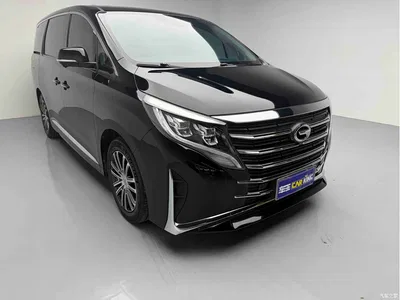 2023 GAC Trumpchi Trumpchi M8 Leading Series 390T Ultimate Edition, фото 3, лот 10414219