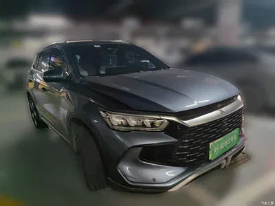 2023 BYD Song Pro New Energy Champion Edition DM-i 110KM Surpassing Type, фото 3, лот 10273589