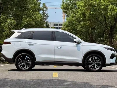 2025 BYD Song Pro New Energy 2nd Gen DM-i 75KM Surpass, фото 4, лот 10815982