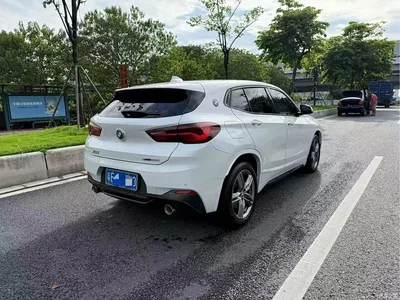 2021 BMW X2 sDrive25i Leading M Sport Package, фото 3, лот 10405905
