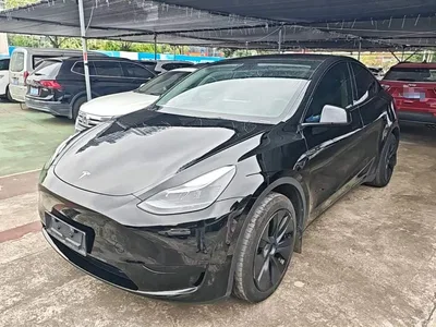 2023 Tesla Model Y Rear-Wheel Drive Edition, фото 1, лот 11096803