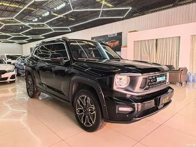 2024 Haval Second-Generation Big Dog New Energy Hi4 102km Trend Electric Plus, фото 3, лот 11170878
