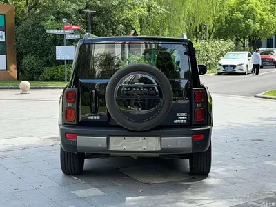 2023 Haval Meng Long NEV Hi4 102 Explorer Edition, фото 4, лот 11133344