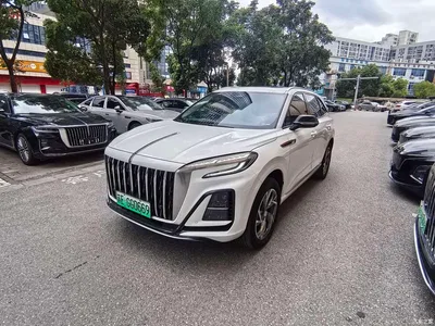 2025 Hongqi HS3 PHEV 125km Jingwei 2 Million Commemorative Edition, фото 1, лот 10361079