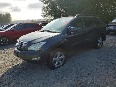 2005 LEXUS RX 330, фото 1, лот 10848739