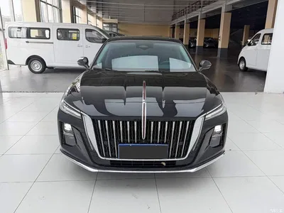 2023 Hongqi H5 2.0T Auto Smart Connect Flag Comfort, фото 2, лот 10393118