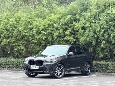 2023 BMW X3 Facelift xDrive30i Leading M Night Package, фото 1, лот 11215979