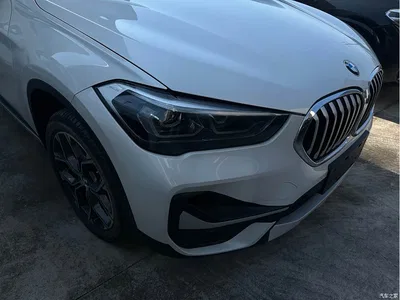 2021 BMW X1 sDrive25Li Leading, фото 3, лот 11582652