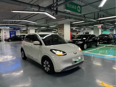 2023 Wuling Motors Wuling Bingo Model 333km Joy+ Version, фото 3, лот 10895079