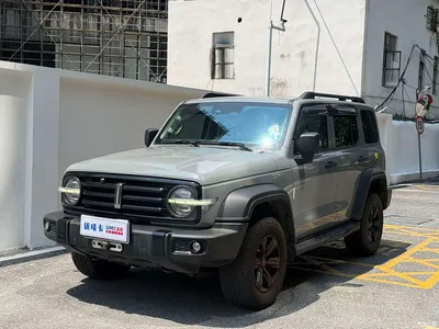 2021 Tank 300 Off-road Version 2.0T Conqueror, фото 1, лот 10400910