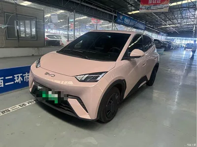 2024 BYD Seagull Glory Edition 305km Vitality Edition, фото 1, лот 10246735