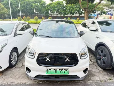 2022 Leapmotor T03 Star Diamond Edition, фото 3, лот 10905217