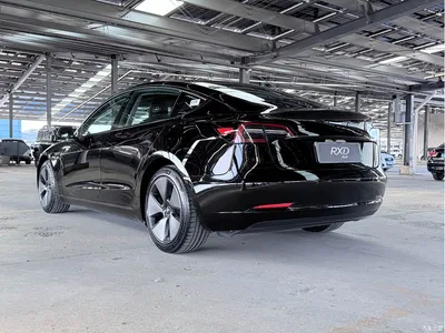 2022 Tesla Model 3 Model Rear-Wheel Drive Version, фото 3, лот 11538466