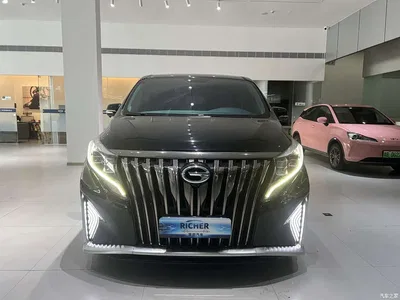 2021 GAC Trumpchi Trumpchi M8 Master Series 390T Prestige Edition, фото 2, лот 11501975