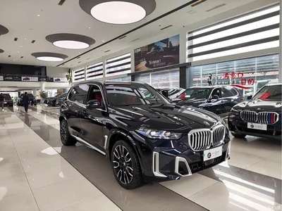 2023 BMW X5 xDrive 40Li M Sport Package, фото 3, лот 11096319