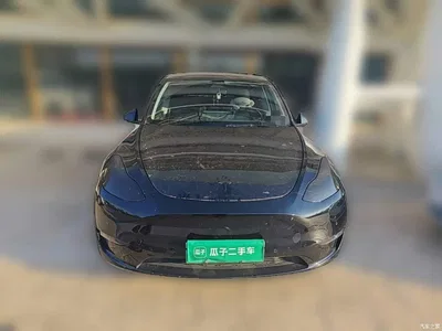 2021 Tesla Model Y Standard Range Rear-Wheel Drive, фото 2, лот 11578945