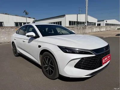 2025 BYD Qin L DM-i Smart Drive Edition 120KM Surpassing, фото 3, лот 10326700