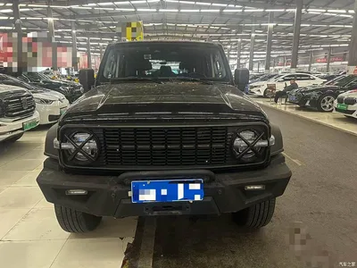 2021 Tank 300 Off-road Version 2.0T Conqueror, фото 2, лот 11212204