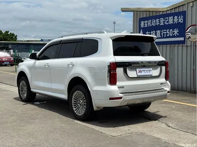 2022 Tank 500 3.0T Business Edition Zaojing 5-Seater, фото 4, лот 10344190