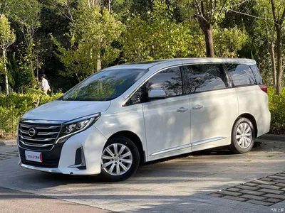 2020 GAC Trumpchi Trumpchi M8 Pilot 390T Luxury Edition, фото 1, лот 11386730