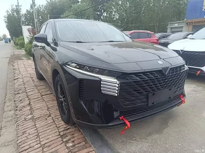 2022 Venucia Big V 260T Dark Horse Edition·Idol, фото 4, лот 11153623