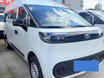 2025 SAIC Maxus Dana V1 V1+ Long Wheelbase High Roof Multi-purpose Version (64kWh), фото 3, лот 11160646