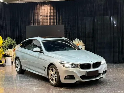 2019 BMW 3 Series GT 320i M Sport Package, фото 3, лот 10570842
