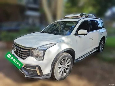 2020 GAC Trumpchi Trumpchi GS8 390T 2WD Luxury Smart Connect Anniversary Edition (7-Seater), фото 1, лот 10422856