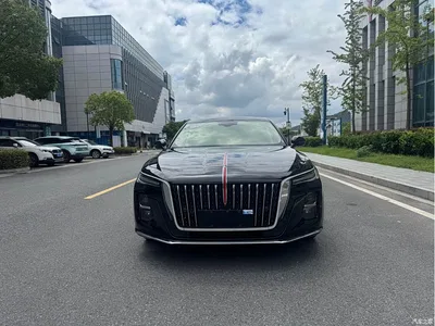 2024 Hongqi H5 1.5T DCT Smart Connect Flag Rhythm Edition, фото 3, лот 10287321