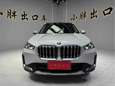 2023 BMW X1 sDrive20Li X Design Package, фото 2, лот 10465803