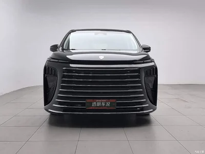 2026 Dongfeng Starlight V9 Beyond Joy Series 200km Luxury, фото 3, лот 11164792