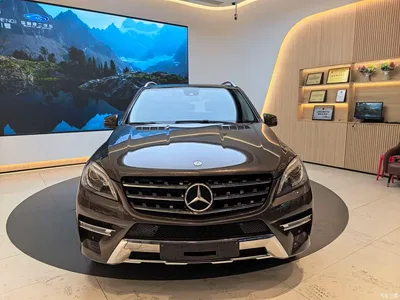 2015 Mercedes-Benz M-Class ML 400 4MATIC Dynamic, фото 2, лот 10251907