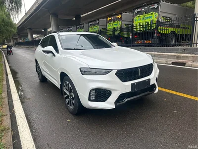 2017 WEY VV7 2.0T Super Luxury, фото 3, лот 11133186