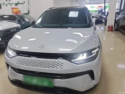 2023 Leapmotor C11 Extended Range 300 Smart Edition, фото 3, лот 10442444