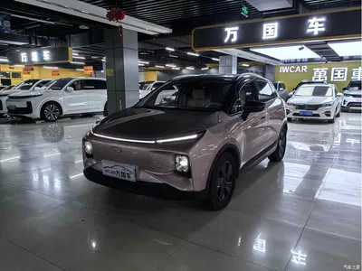 2023 Geely E Firefly 401KM Super Fan Special Edition 5-Seater, фото 1, лот 11156991