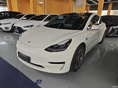 2020 Tesla Model 3 Standard Range Rear-Wheel Drive Upgrade, фото 2, лот 10370189
