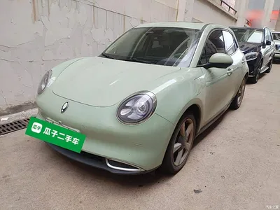 2023 Ora Good Cat 401km Standard Range Premium LFP, фото 2, лот 10285179