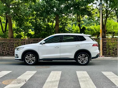 2019 BYD Song Pro 1.5T Automatic Luxury, фото 3, лот 10257739