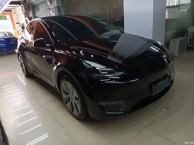 2021 Tesla Model Y Standard Range Rear-Wheel Drive, фото 4, лот 10369663