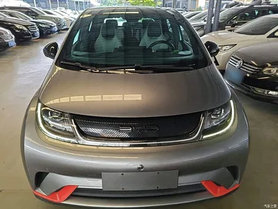 2021 BYD Dolphin Model 405km Fashion Edition, фото 3, лот 10264234