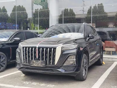 2023 Hongqi HS5 2.0T Flag Pro 500,000 Units Commemorative Edition, фото 2, лот 10289616